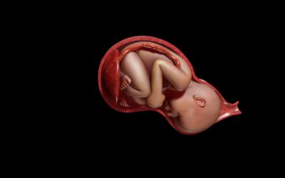 When The Umbilical Cord Around The Neck Is Dangerous