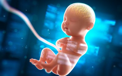 How Much Is My Baby’s Traumatic Brain Injury (HIE) Case Worth?