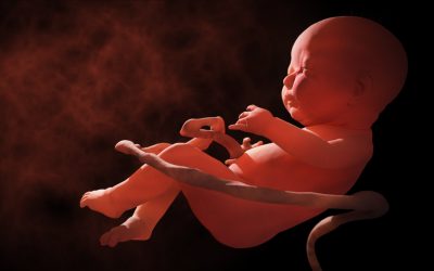 Dangers Of An Umbilical Cord Compression And HIE
