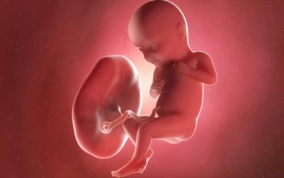 What Area Of The Brain Does HIE Affect In A Baby?