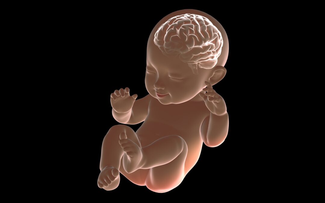When Fetal Monitor And MRI Reveal When HIE Brain Injury May Have Happened