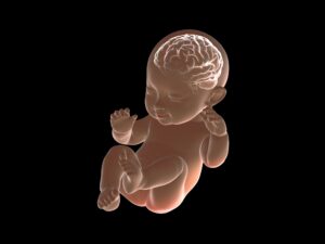 Why HIE Brain Injuries Can Sometimes Trigger Seizures In Newborns